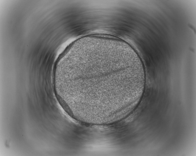 X0000102460910200809051307
