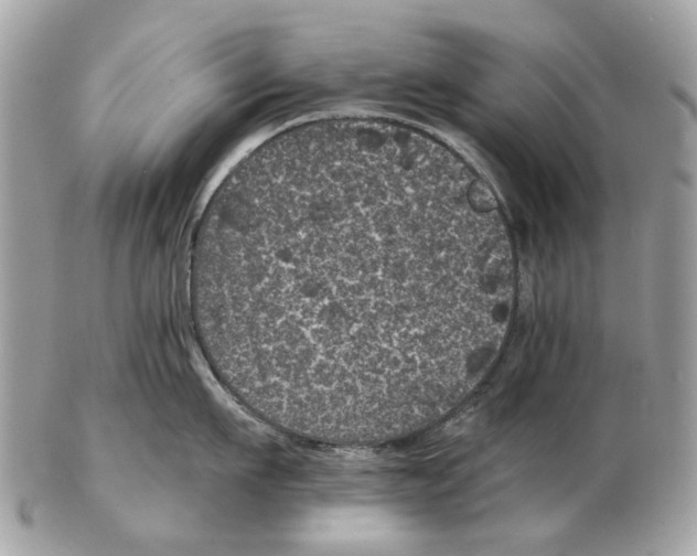 X0000102460911200809051307