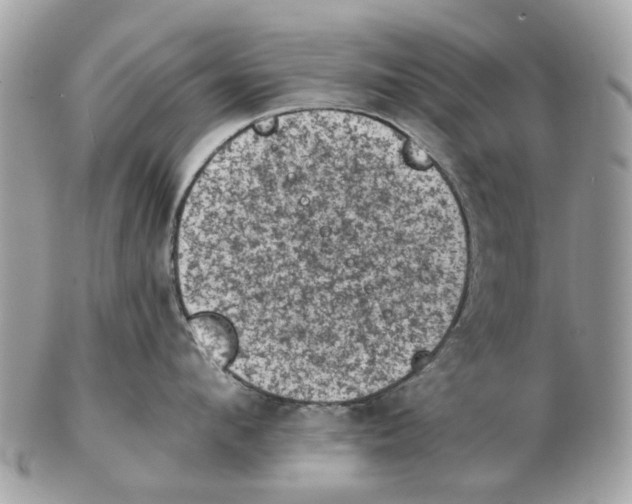 X0000102460912200809051307