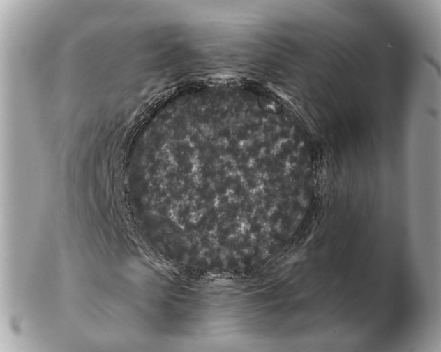 X0000102460913200809051306