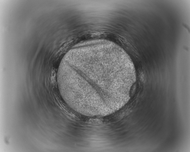 X0000102460914200809051306