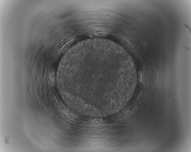 X0000102460915200809051306