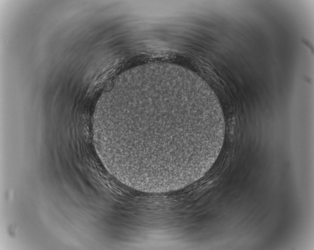 X0000102460916200809051306