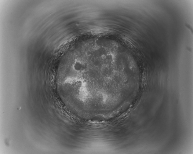 X0000102460917200809051306