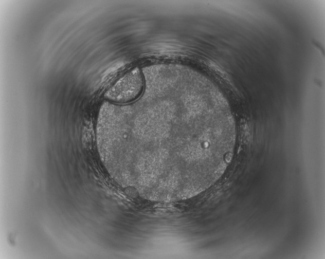 X0000102460918200809051306