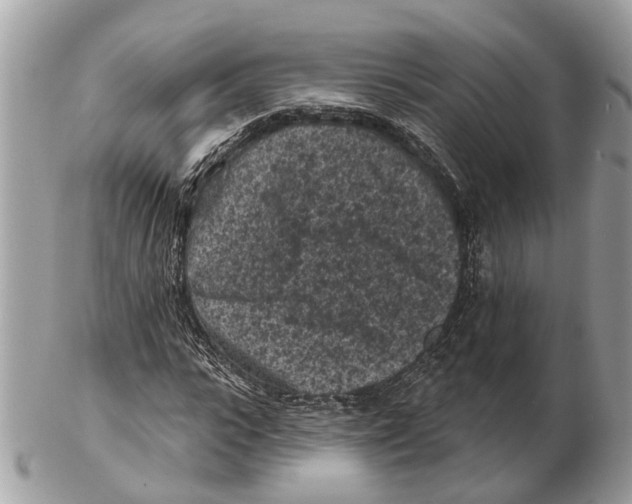 X0000102460919200809051306