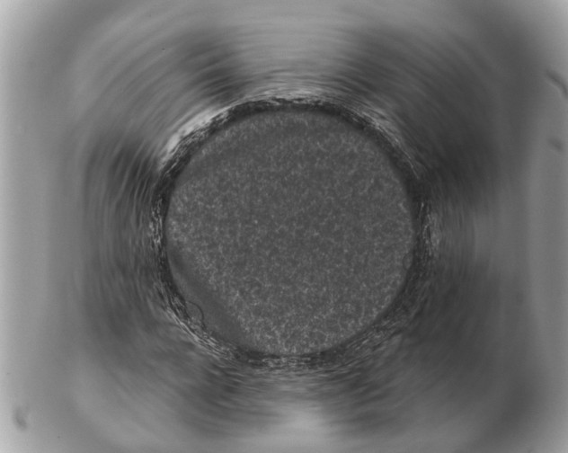 X0000102460920200809051306