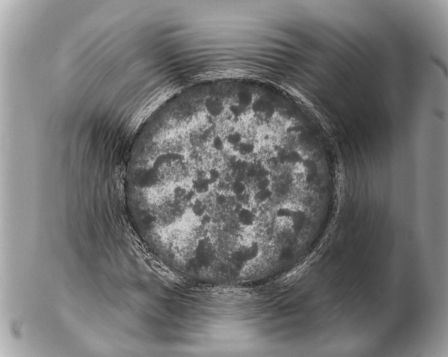 X0000102460921200809051306