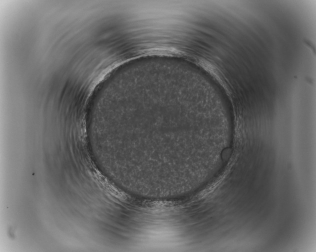 X0000102460923200809051306