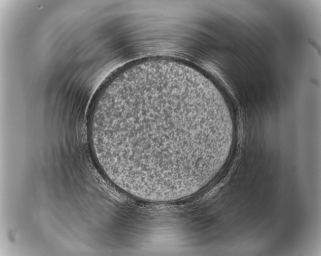 X0000102460924200809051306