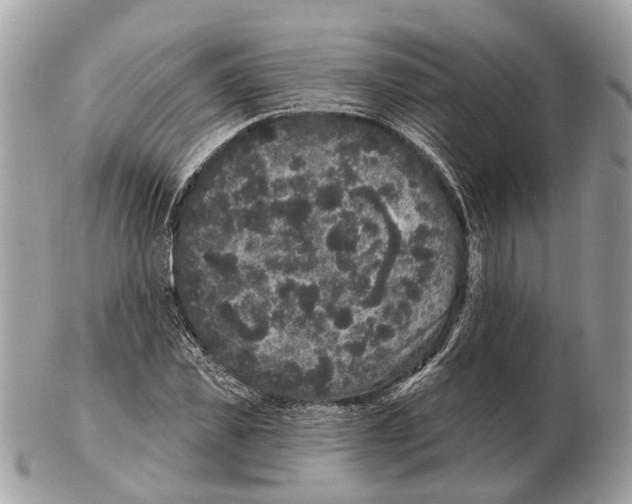 X0000102460925200809051306