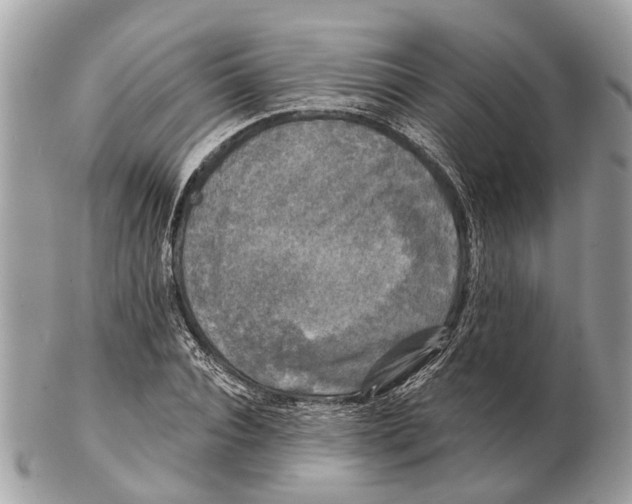 X0000102460928200809051306