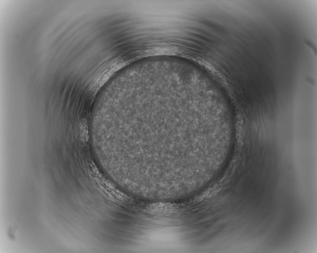 X0000102460929200809051306