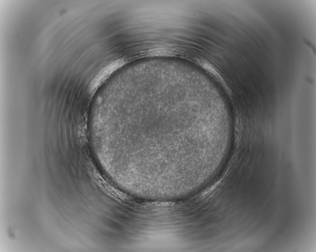 X0000102460930200809051306