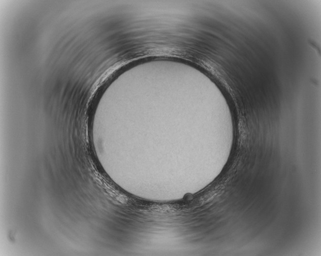 X0000102460931200809051306