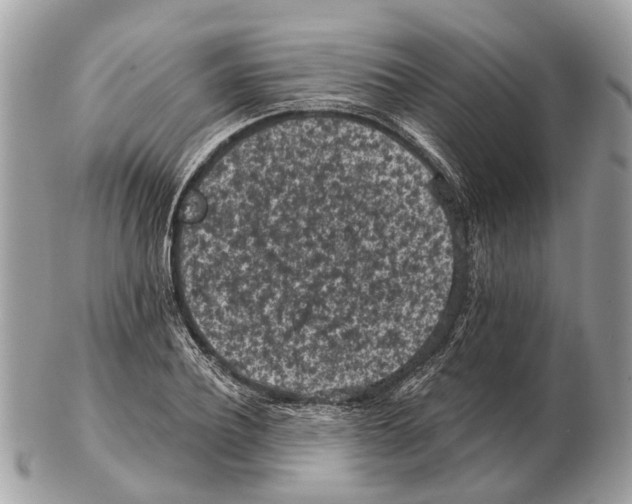 X0000102460932200809051306
