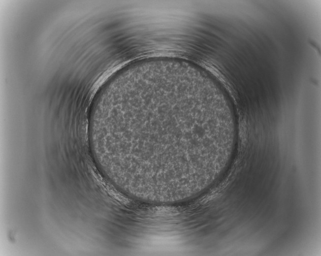 X0000102460933200809051306