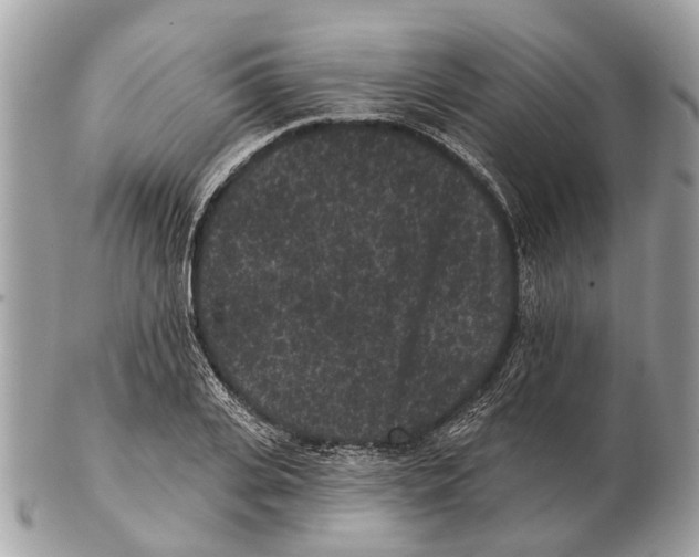 X0000102460935200809051306