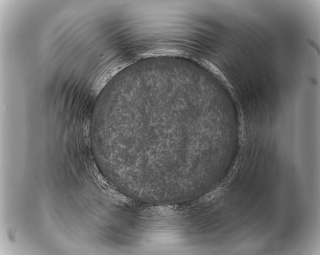 X0000102460937200809051306