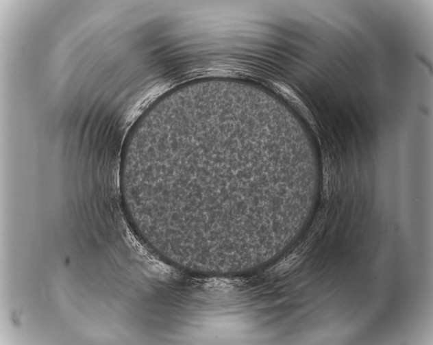 X0000102460938200809051306