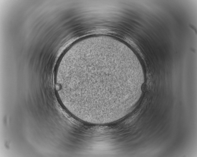 X0000102460939200809051306