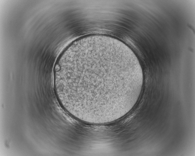 X0000102460940200809051306