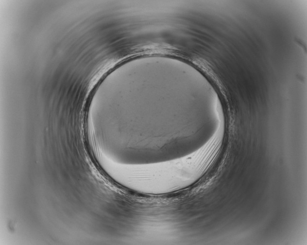 X0000102460941200809051306