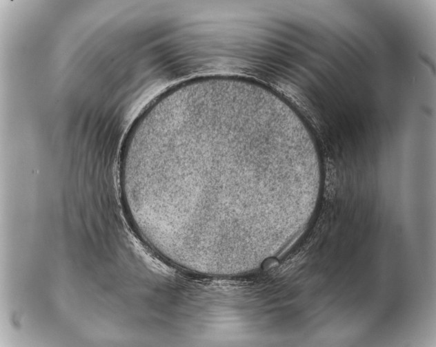 X0000102460942200809051306