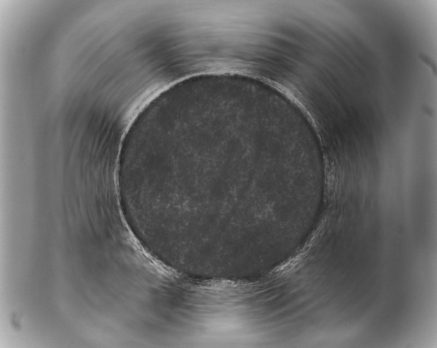 X0000102460943200809051306