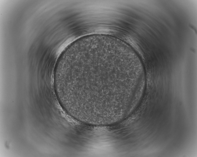 X0000102460944200809051306
