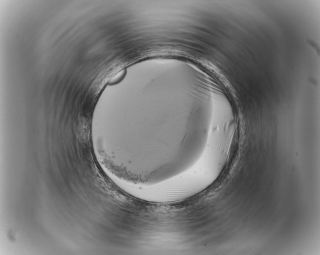 X0000102460945200809051306