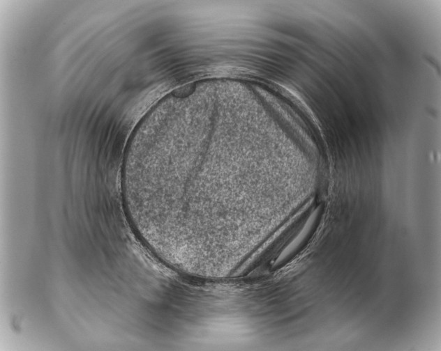 X0000102460946200809051306