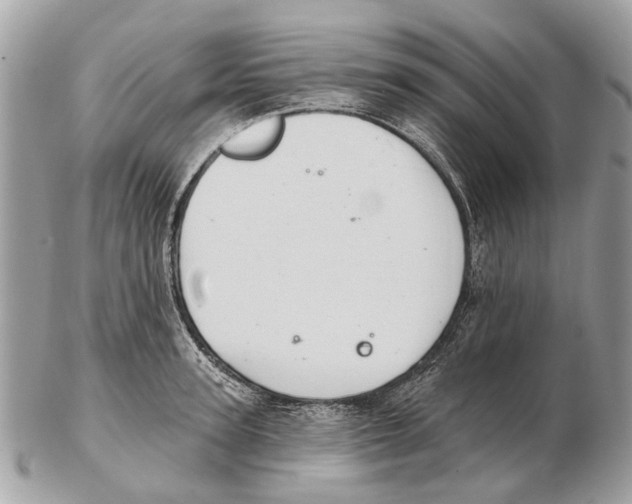 X0000102460947200809051306