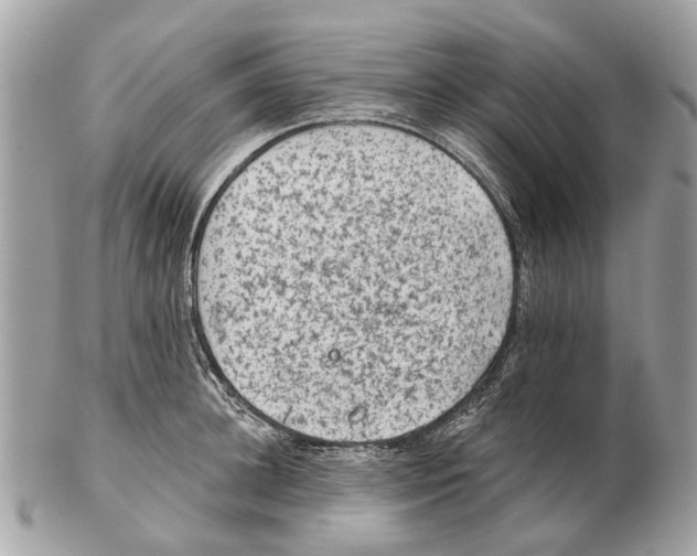X0000102460948200809051306