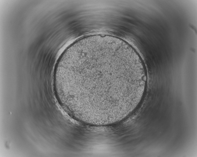 X0000102460949200809051306