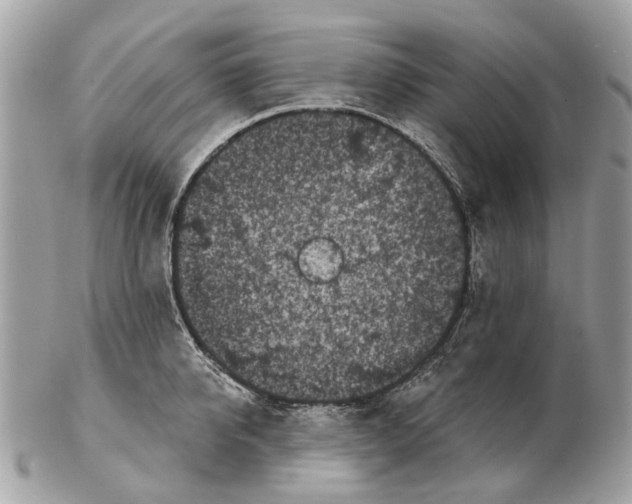 X0000102460950200809051306