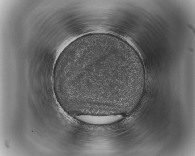 X0000102460951200809051306