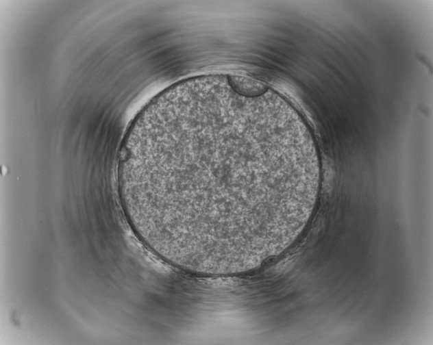 X0000102460952200809051306