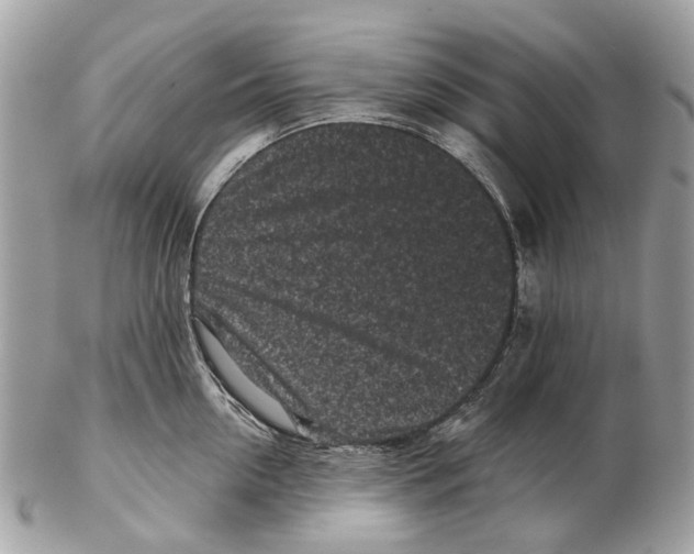 X0000102460954200809051306
