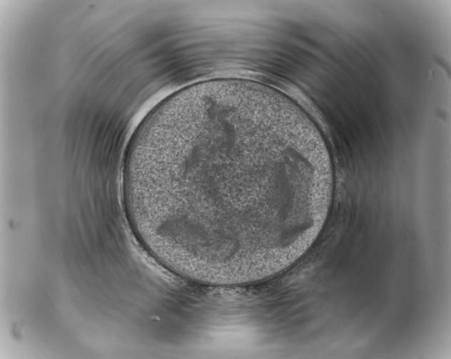 X0000102460955200809051307