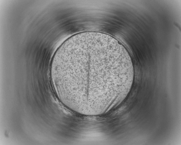 X0000102460956200809051307