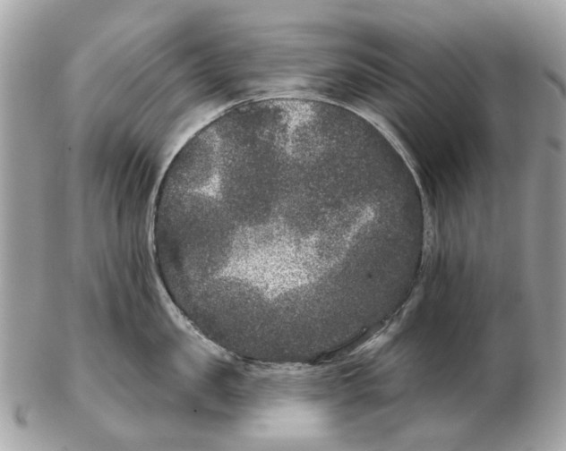 X0000102460957200809051307