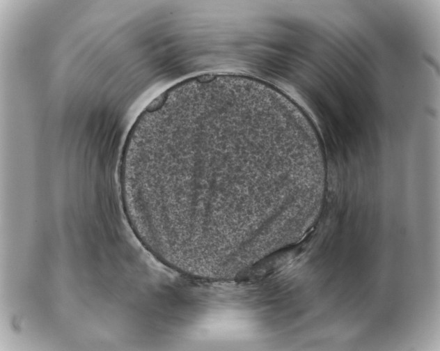 X0000102460959200809051307