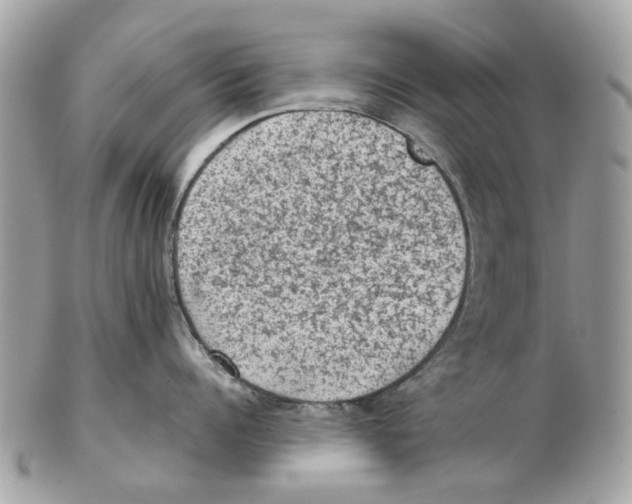 X0000102460960200809051307