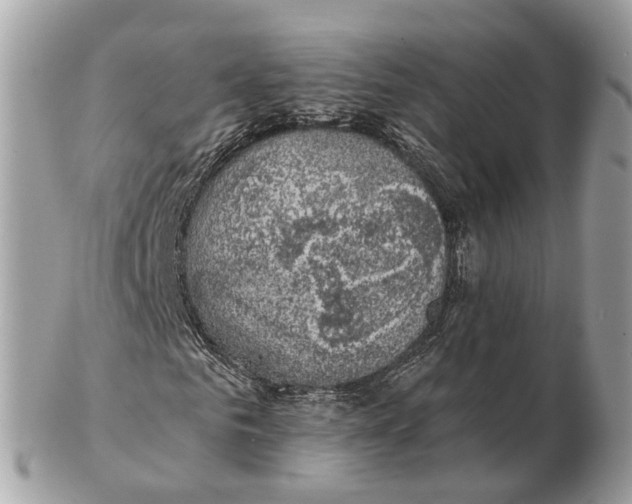 X0000102460961200809051306