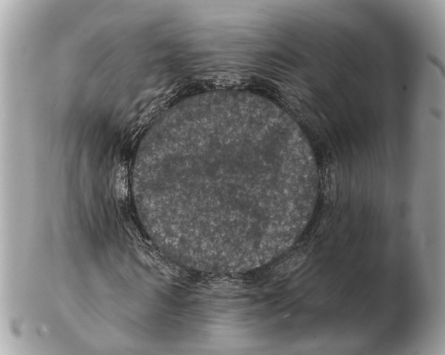 X0000102460962200809051306