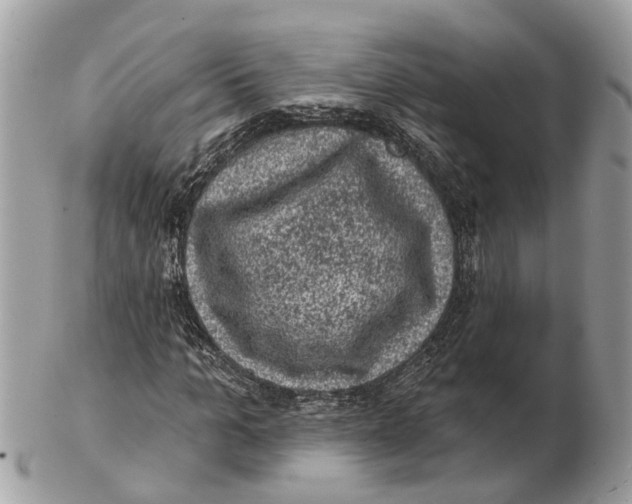 X0000102460965200809051306