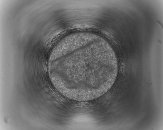 X0000102460966200809051306