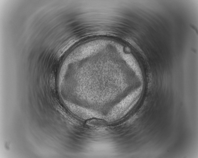X0000102460969200809051306