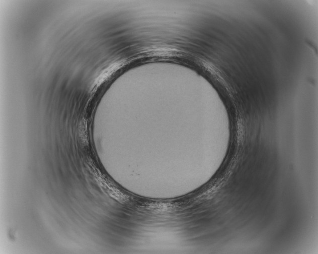 X0000102460970200809051306